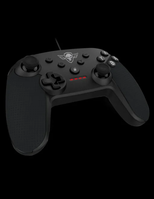 Pgs Manette Switch