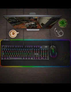 Xpert-K300